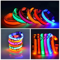 LED dog safety collar | LED dog collar | Safety dog collar | Light-up pet collar | Night visibility dog collar | Glow dog collar | Rechargeable dog collar | Adjustable LED collar | Reflective dog collar | Dog walking safety gear | Illuminated dog collar