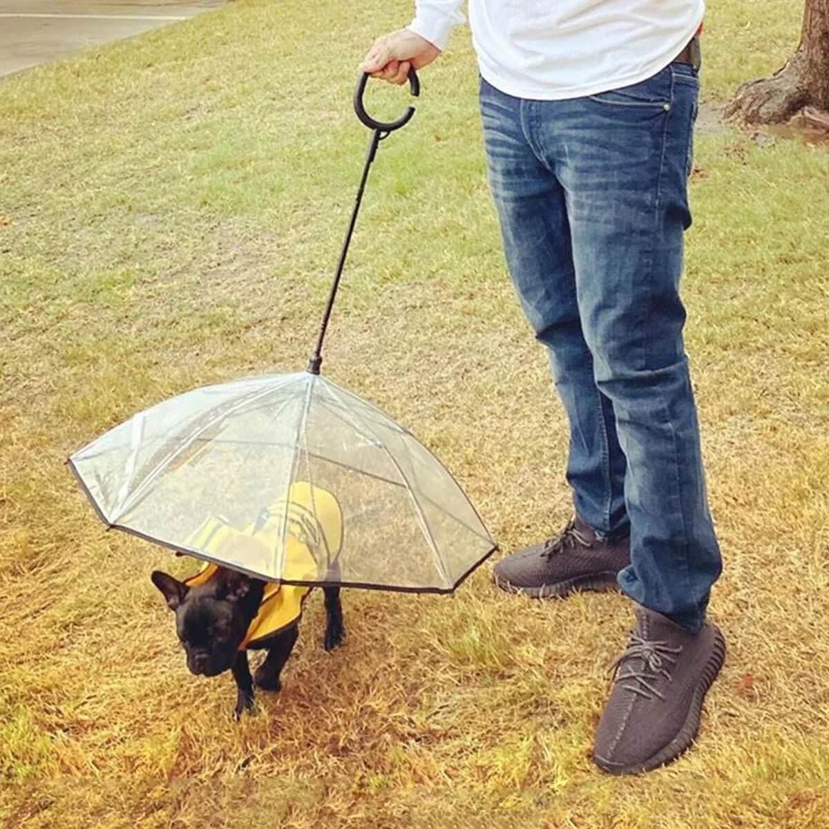 RainShield Dog Umbrella keeping pet dry in rain | Transparent pet umbrella with built-in leash handle | Waterproof dog umbrella for rainy walks | Lightweight pet umbrella for small dogs | Stylish rain umbrella for dogs with clear canopy | Windproof dog umbrella for outdoor protection | Foldable dog umbrella with comfortable handle | Durable RainShield pet umbrella for bad weather | Dog rain gear umbrella for easy walking | Protective transparent umbrella for pets