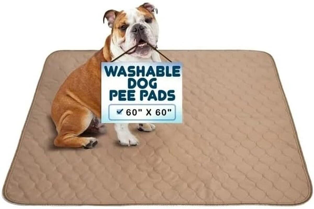 waterproof dog training pads | Reusable dog pee pads | Washable pet potty pads | Waterproof dog pads | Eco-friendly puppy pads | Durable dog potty mat | Indoor dog training pads | Pet pee pads | Sustainable dog pads | Soft dog potty pads | Long-lasting dog pee pads