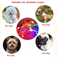 LED dog safety collar | LED dog collar | Safety dog collar | Light-up pet collar | Night visibility dog collar | Glow dog collar | Rechargeable dog collar | Adjustable LED collar | Reflective dog collar | Dog walking safety gear | Illuminated dog collar