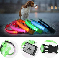 LED dog safety collar | LED dog collar | Safety dog collar | Light-up pet collar | Night visibility dog collar | Glow dog collar | Rechargeable dog collar | Adjustable LED collar | Reflective dog collar | Dog walking safety gear | Illuminated dog collar