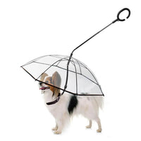RainShield Dog Umbrella keeping pet dry in rain | Transparent pet umbrella with built-in leash handle | Waterproof dog umbrella for rainy walks | Lightweight pet umbrella for small dogs | Stylish rain umbrella for dogs with clear canopy | Windproof dog umbrella for outdoor protection | Foldable dog umbrella with comfortable handle | Durable RainShield pet umbrella for bad weather | Dog rain gear umbrella for easy walking | Protective transparent umbrella for pets
