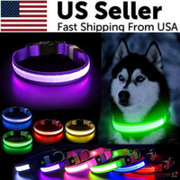 LED dog safety collar | LED dog collar | Safety dog collar | Light-up pet collar | Night visibility dog collar | Glow dog collar | Rechargeable dog collar | Adjustable LED collar | Reflective dog collar | Dog walking safety gear | Illuminated dog collar