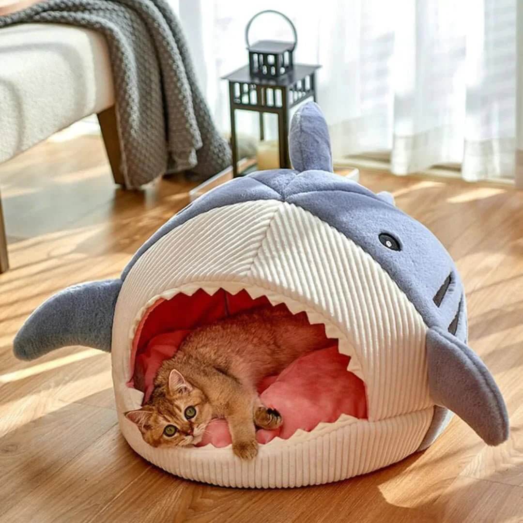 Luxury Plush Shark Pet Bed  | Luxury shark pet bed | Plush shark bed for cats | Cozy dog bed shark design | Soft warm pet sleeping house | Cute cat cave bed | Comfortable dog rest nest | Funny shark mouth pet bed | Washable plush pet bed | Enclosed pet sleeping pod | Small dog and cat bed